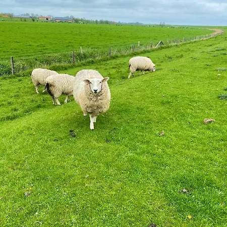 Apartment Suedhoff Horumersiel