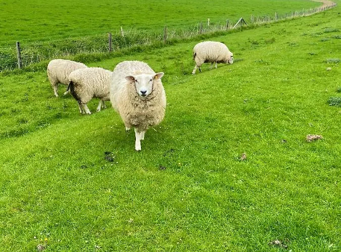 Apartamento Suedhoff Horumersiel